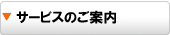 �T�[�r�X�̂��ē�