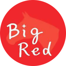 �r�b�O���b�h�t�@�[��