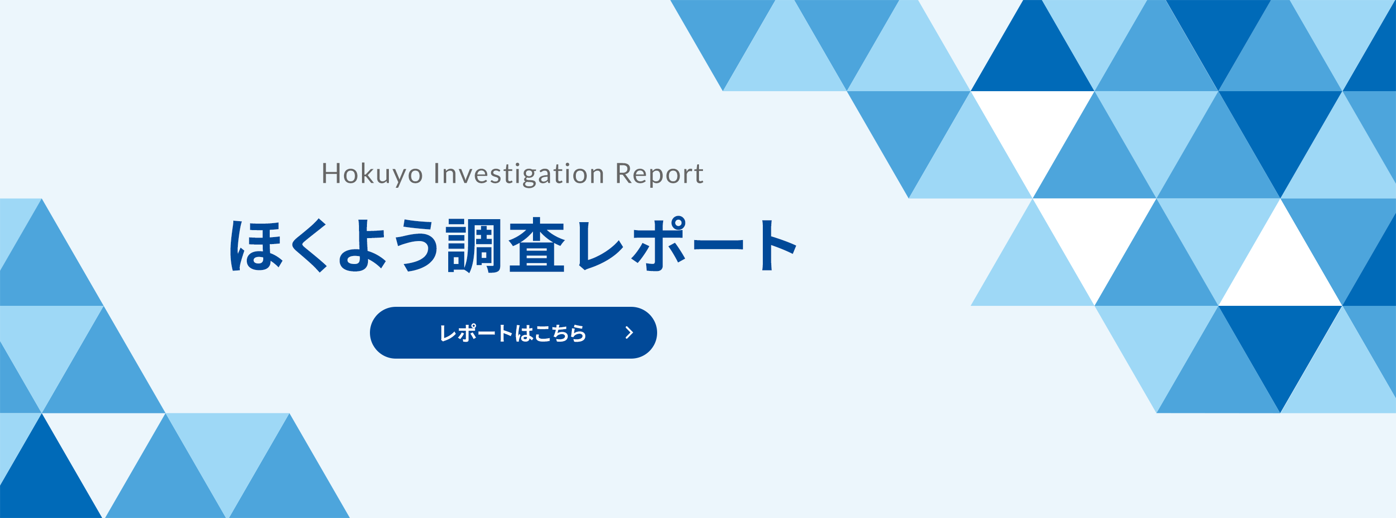 Hokuyo Investigation Report@ق悤|[gB@|[g͂ƂN{^\ĂB