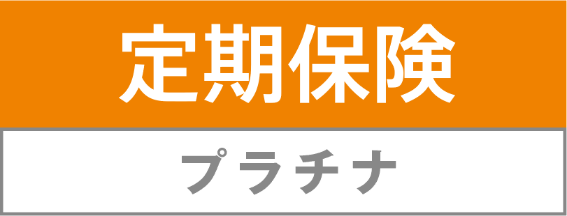 v`i