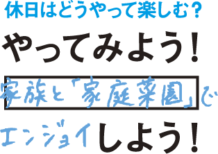 休日はどうやって楽しむ？